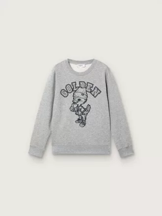 Journey sweatshirt met ronde hals voor jongens in grijs gemêleerd katoen met mascotteprint