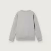 Journey sweatshirt met ronde hals voor jongens in grijs gemêleerd katoen met mascotteprint