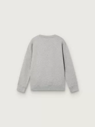 Journey sweatshirt met ronde hals voor jongens in grijs gemêleerd katoen met mascotteprint