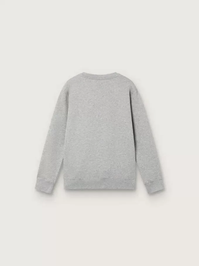 Journey sweatshirt met ronde hals voor jongens in grijs gemêleerd katoen met mascotteprint