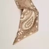 Lint van duifgrijs zijden twill met paisleypatroon