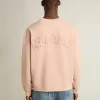 Poederroze sweatshirt met omgekeerd logo op de achterkant – Jersey Capsule